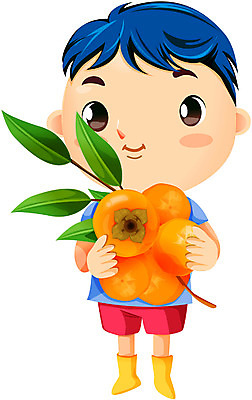 EPS 전통 계절 남자 초등학생 어린이 농업 일러스트 감 한명 사람 소년 가을 시골 농부 절기 이미지다이어리 입추 홍시 남자만 남자한명만 어린이만 소년만 소년한명만 국내일러스트 직업 1 학생 산업 과일 파일형식 벡터