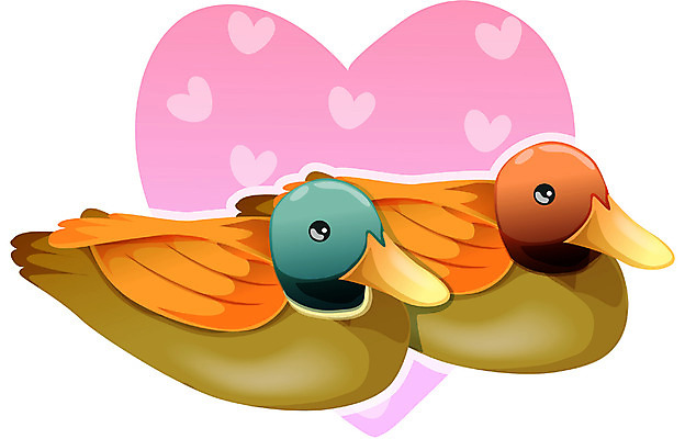 EPS 동물 척추동물 결혼 일러스트 조류 결혼식 이벤트 사람없음 전통혼례 이미지다이어리 기러기 목각기러기 국내일러스트 한국전통 전통의례 파일형식 벡터