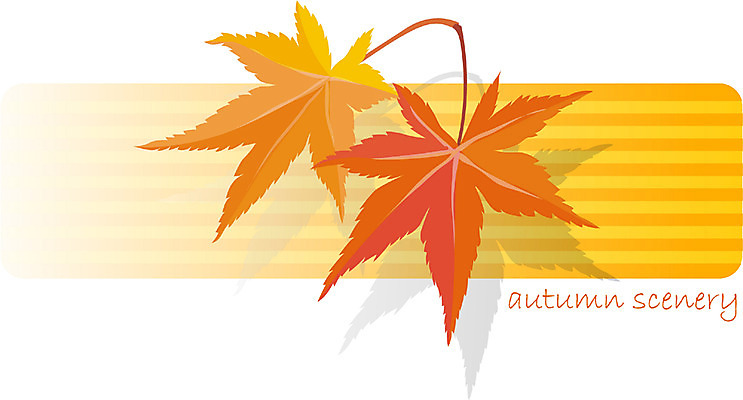 EPS 클립아트 나무 식물 사계절 계절 컬러 단풍 일러스트 자연 단풍나무 사람없음 주황색 가을 국내일러스트 잎 생태계 파일형식 벡터