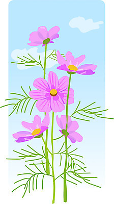 EPS 주간 클립아트 식물 계절 꽃 일러스트 자연 가을꽃 사람없음 야외 가을 코스모스 국내일러스트 자연요소 생태계 파일형식 벡터 가을_계절