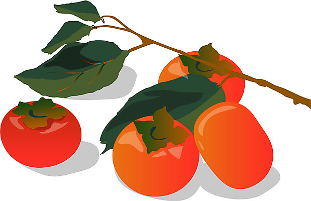 EPS 식물 아이콘 계절 열매 음식 과일 감 사람없음 농작물 가을 2D아이콘 농업 파일형식 벡터