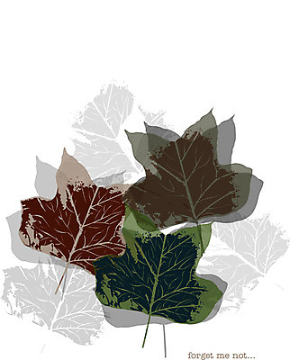 EPS 나무 식물 아이콘 사계절 계절 단풍 낙엽 자연 단풍나무 나뭇잎 사람없음 가을 2D아이콘 잎 생태계 파일형식 벡터