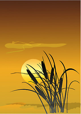 EPS 클립아트 식물 사계절 계절 백그라운드 일러스트 자연현상 자연 하늘 풍경 사람없음 야외 태양 일출 노을 일몰 가을 풀잎 가을배경 국내일러스트 자연요소 잎 풀_식물 생태계 파일형식 벡터 가을_계절