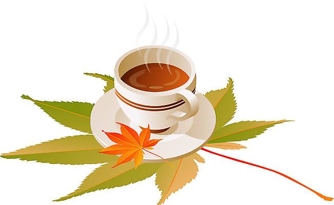 EPS 나무 식물 아이콘 계절 커피 음료 음식 단풍 단풍나무 나뭇잎 사람없음 가을 2D아이콘 잎 파일형식 벡터