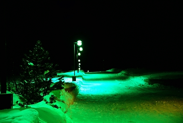 포토 JPG 주간 나무 해외 사계절 계절 공공시설 유럽 도로 외국문화 여행 겨울 야경 가로등 자연 사람없음 야외 관광지 어둠 눈 도시 슬로바키아 국내포토 자연요소 식물 나라 문화 길 교통시설 날씨 야간 시설 생태계 파일형식 풍경_경치