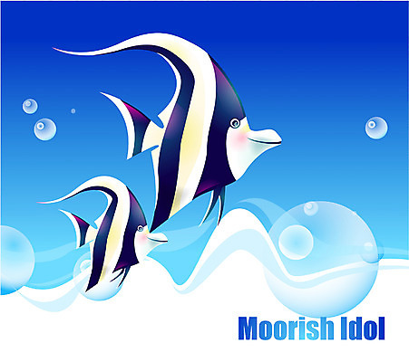 EPS 동물 척추동물 바다 두마리 일러스트 자연 관상어 어류 사람없음 바닷속 해저 수중동물 무리시아이돌 국내일러스트 2 수중 생태계 파일형식 벡터