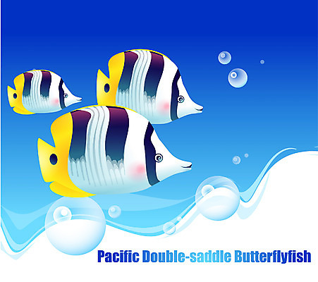 EPS 동물 척추동물 바다 일러스트 자연 세마리 관상어 어류 사람없음 바닷속 해저 수중동물 나비고기 버터플라이피쉬 국내일러스트 3 수중 생태계 파일형식 벡터