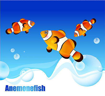 EPS 동물 척추동물 바다 일러스트 자연 세마리 관상어 어류 사람없음 바닷속 해저 수중동물 국내일러스트 3 수중 생태계 파일형식 벡터