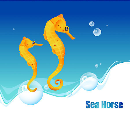 EPS 동물 척추동물 바다 두마리 일러스트 자연 어류 사람없음 바닷속 해저 수중동물 해마 국내일러스트 2 수중 바다동물 생태계 파일형식 벡터