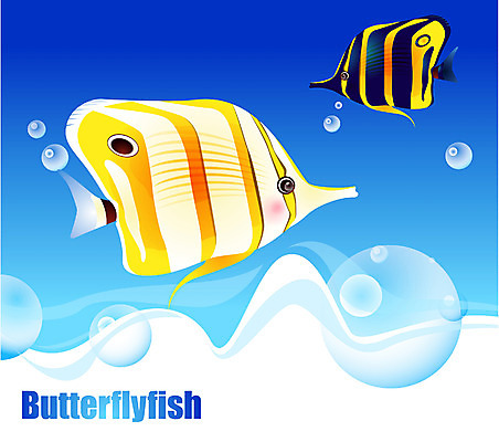 EPS 동물 척추동물 바다 두마리 일러스트 자연 관상어 어류 사람없음 바닷속 해저 수중동물 나비고기 버터플라이피쉬 국내일러스트 2 수중 생태계 파일형식 벡터