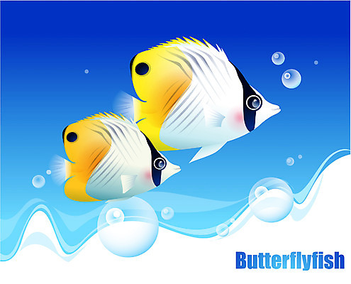 EPS 동물 척추동물 바다 두마리 일러스트 자연 관상어 어류 사람없음 바닷속 해저 수중동물 나비고기 버터플라이피쉬 국내일러스트 2 수중 생태계 파일형식 벡터