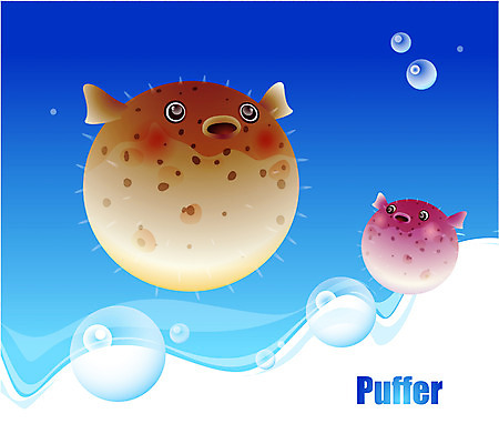 EPS 동물 척추동물 바다 두마리 일러스트 자연 어류 사람없음 바닷속 해저 수중동물 복어 국내일러스트 2 수중 생태계 파일형식 벡터