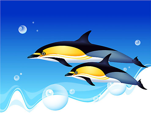 EPS 동물 척추동물 바다 두마리 일러스트 포유류 자연 어류 사람없음 바닷속 해저 바다동물 수중동물 고래 돌고래 짧은부리참돌고래 국내일러스트 2 수중 생태계 파일형식 벡터