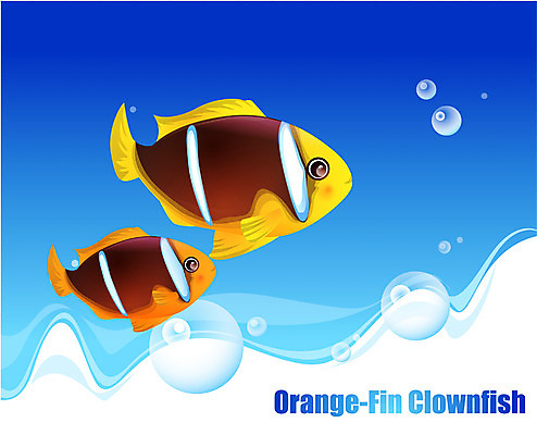 EPS 동물 척추동물 바다 두마리 일러스트 자연 관상어 어류 사람없음 바닷속 해저 수중동물 오렌지핀크라운피쉬 국내일러스트 2 수중 생태계 파일형식 벡터