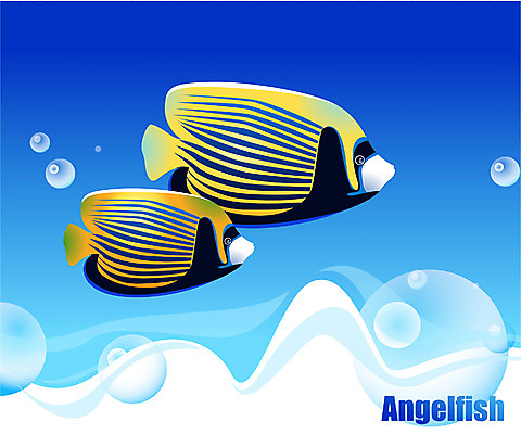 EPS 동물 척추동물 바다 두마리 일러스트 자연 관상어 어류 사람없음 바닷속 해저 수중동물 국내일러스트 2 수중 생태계 파일형식 벡터