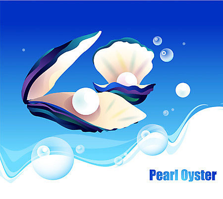 EPS 동물 척추동물 바다 두마리 일러스트 자연 조개 어류 사람없음 바닷속 해저 수중동물 진주 진주조개 국내일러스트 2 어패류 수중 보석 생태계 파일형식 벡터