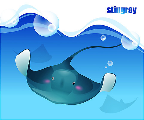 EPS 동물 척추동물 한마리 바다 일러스트 자연 어류 사람없음 바닷속 해저 수중동물 가오리 국내일러스트 1 수중 생태계 파일형식 벡터