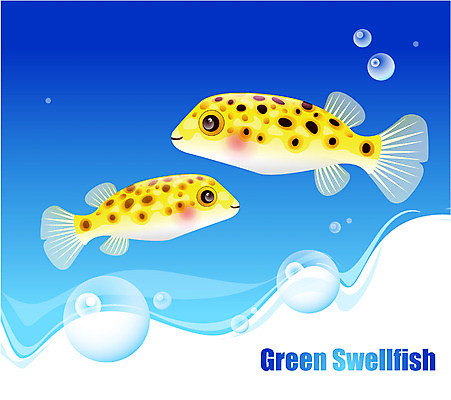 EPS 동물 척추동물 바다 두마리 일러스트 자연 관상어 어류 사람없음 초록색 바닷속 해저 수중동물 복어 국내일러스트 컬러 2 수중 생태계 파일형식 벡터