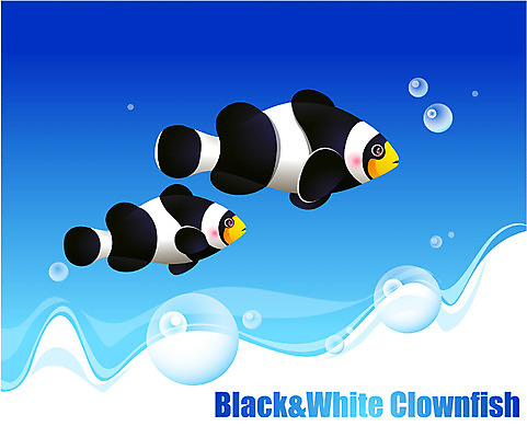 EPS 동물 척추동물 바다 두마리 일러스트 자연 관상어 어류 사람없음 바닷속 해저 수중동물 국내일러스트 2 수중 생태계 파일형식 벡터