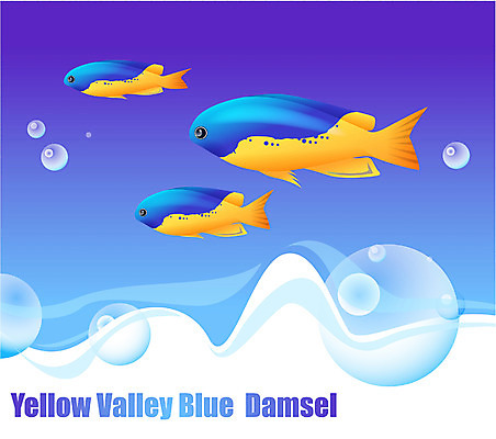 EPS 동물 척추동물 바다 일러스트 자연 세마리 관상어 어류 사람없음 바닷속 해저 수중동물 국내일러스트 3 수중 생태계 파일형식 벡터