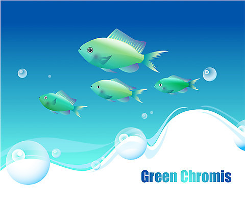 EPS 동물 척추동물 바다 여러마리 일러스트 자연 관상어 어류 사람없음 바닷속 해저 수중동물 국내일러스트 다수 수중 생태계 파일형식 벡터