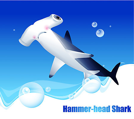 EPS 동물 척추동물 한마리 바다 일러스트 자연 어류 사람없음 바닷속 해저 수중동물 상어 귀상어 국내일러스트 1 수중 생태계 파일형식 벡터