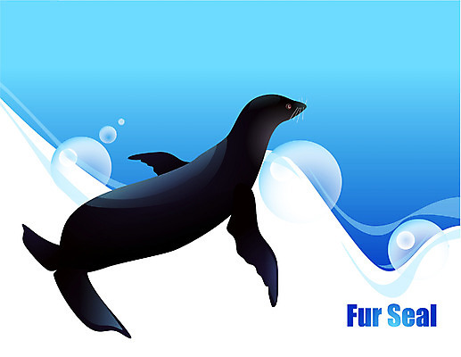 EPS 동물 척추동물 한마리 야생동물 바다 일러스트 포유류 사람없음 바닷속 해저 바다동물 수중동물 물개 국내일러스트 1 수중 파일형식 벡터