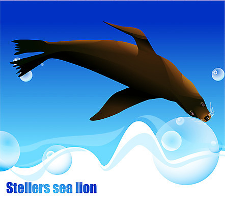 EPS 동물 척추동물 한마리 육지동물 야생동물 바다 일러스트 포유류 사람없음 바닷속 해저 수중동물 사자 바다사자 국내일러스트 1 수중 바다동물 파일형식 벡터