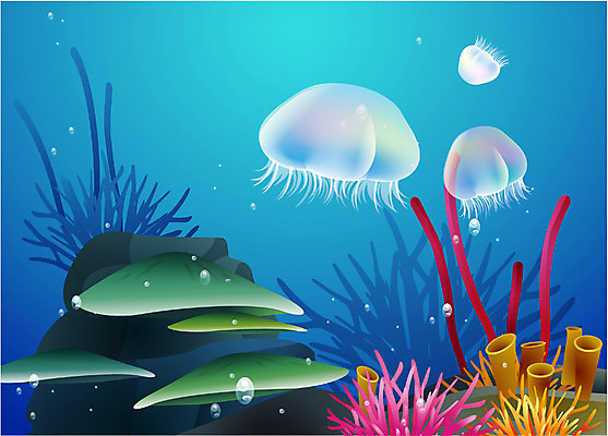 EPS 동물 척추동물 바다 일러스트 자연 어류 풍경 사람없음 바닷속 해저 수중동물 해파리 바다배경 국내일러스트 백그라운드 수중 자포동물 생태계 파일형식 벡터