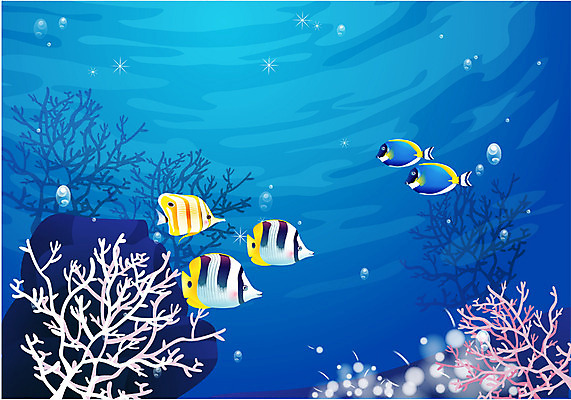 EPS 동물 척추동물 바다 일러스트 자연 관상어 어류 풍경 사람없음 바닷속 해저 수중동물 바다배경 국내일러스트 백그라운드 수중 생태계 파일형식 벡터