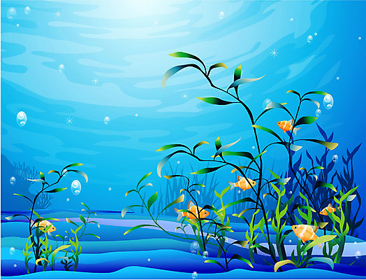 EPS 동물 척추동물 바다 일러스트 자연 관상어 어류 풍경 사람없음 바닷속 해저 수중동물 바다배경 국내일러스트 백그라운드 수중 생태계 파일형식 벡터