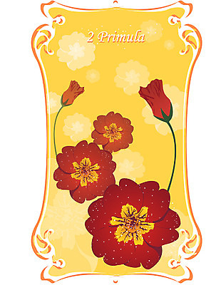 EPS 식물 꽃 컬러 백그라운드 일러스트 봄꽃 자연 사람없음 빨간색 2월 앵초 탄생화 국내일러스트 봄 날짜 생태계 파일형식 벡터