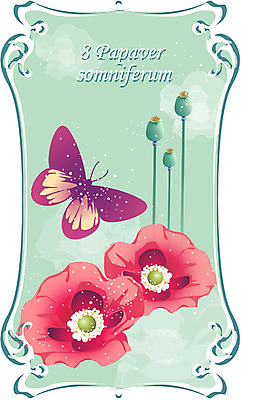 EPS 식물 꽃 컬러 백그라운드 일러스트 여름꽃 자연 사람없음 빨간색 양귀비 8월 탄생화 국내일러스트 날짜 생태계 파일형식 벡터 여름_계절