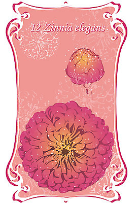 EPS 식물 꽃 컬러 백그라운드 일러스트 여름꽃 자연 사람없음 빨간색 12월 백일홍 탄생화 국내일러스트 날짜 생태계 파일형식 벡터 여름_계절