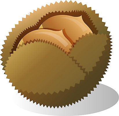 EPS 식물 아이콘 계절 명절 열매 한국 사람없음 추석 견과류 가을 밤 밤송이 2D아이콘 전통 기념일 아시아 밤_견과류 파일형식 벡터