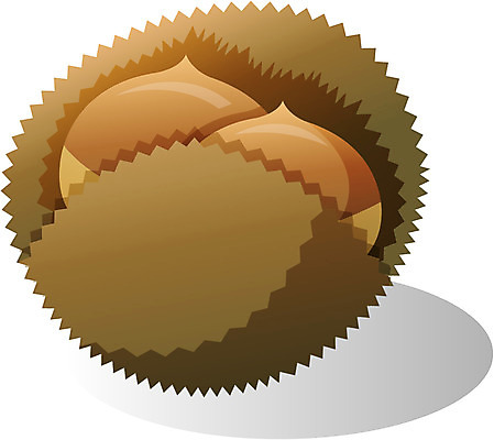 EPS 식물 아이콘 계절 명절 열매 한국 사람없음 추석 견과류 가을 밤 밤송이 2D아이콘 전통 기념일 아시아 밤_견과류 파일형식 벡터