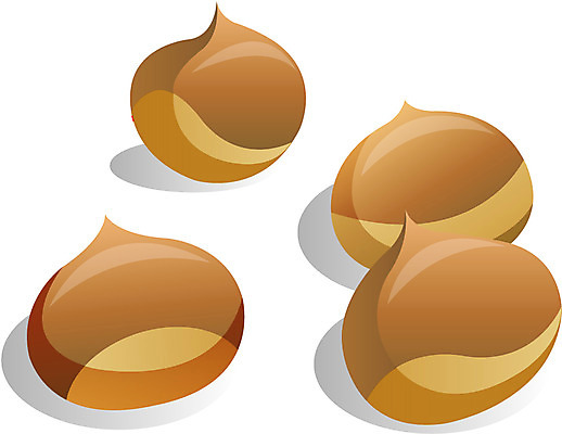 EPS 식물 아이콘 계절 명절 열매 한국 사람없음 추석 견과류 가을 밤 2D아이콘 전통 기념일 아시아 파일형식 벡터