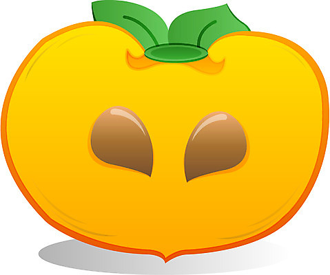 EPS 식물 아이콘 명절 열매 과일 한국 감 사람없음 추석 2D아이콘 전통 기념일 아시아 파일형식 벡터