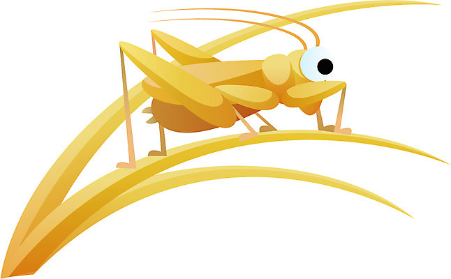 EPS 클립아트 동물 한마리 계절 명절 곤충 절지류 일러스트 사람없음 추석 벼 가을 벌레 메뚜기 국내일러스트 1 전통 기념일 곡류 파일형식 벡터