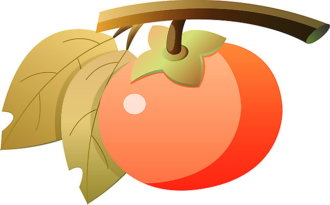 EPS 식물 아이콘 명절 열매 과일 한국 감 사람없음 추석 2D아이콘 전통 기념일 아시아 파일형식 벡터