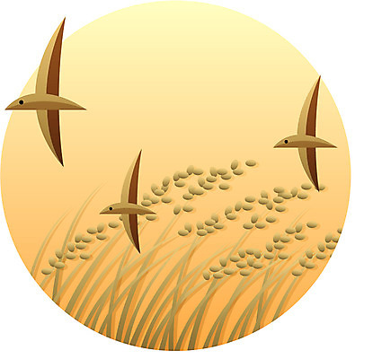 EPS 식물 동물 아이콘 계절 명절 조류 곡류 한국 논 사람없음 추석 벼 가을 2D아이콘 전통 기념일 아시아 농업 파일형식 벡터