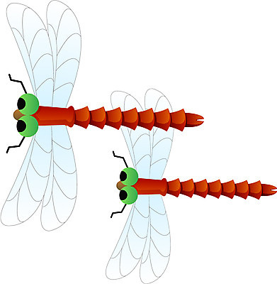 EPS 아이콘 계절 명절 곤충 절지류 한국 사람없음 추석 가을 잠자리 2D아이콘 동물 전통 기념일 아시아 파일형식 벡터