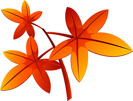 EPS 나무 식물 아이콘 사계절 계절 명절 단풍 낙엽 잎 자연 단풍나무 나뭇잎 한국 사람없음 추석 가을 2D아이콘 전통 기념일 아시아 생태계 파일형식 벡터