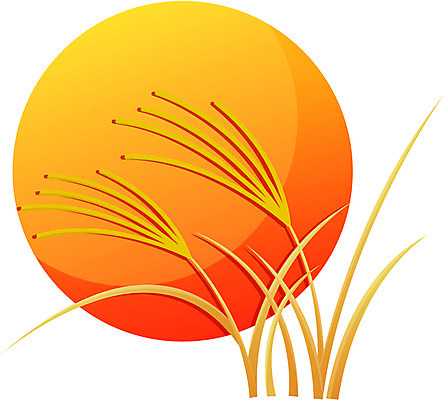 EPS 식물 아이콘 계절 명절 곡류 한국 논 사람없음 추석 벼 보름달 달 가을 2D아이콘 자연요소 전통 기념일 아시아 농업 파일형식 벡터