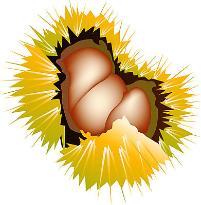 EPS 클립아트 식물 명절 열매 음식 일러스트 한국 사람없음 추석 축제 견과류 가을 밤 밤송이 국내일러스트 전통 계절 기념일 아시아 밤_견과류 파일형식 벡터