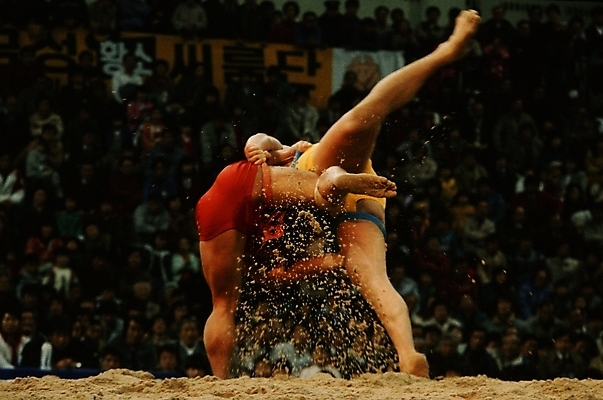 포토 JPG 주간 한국문화 한국전통 남자 스포츠 운동선수 한국 사람 경기 야외 두명 운동 전통놀이 씨름 씨름판 씨름선수 모래판 남자만 국내포토 자연요소 동양문화 전통 아시아 놀이 건강 파일형식