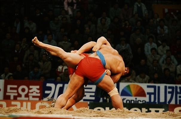 포토 JPG 주간 한국문화 한국전통 남자 스포츠 운동선수 한국 사람 경기 야외 두명 운동 전통놀이 씨름 씨름판 씨름선수 모래판 남자만 국내포토 자연요소 동양문화 전통 아시아 놀이 건강 파일형식
