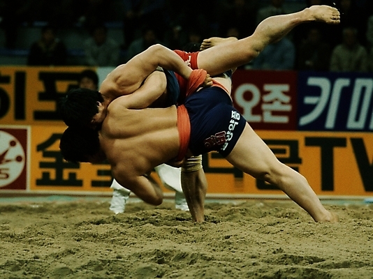 포토 JPG 주간 한국문화 한국전통 남자 스포츠 운동선수 한국 사람 경기 야외 두명 운동 전통놀이 씨름 씨름판 씨름선수 모래판 남자만 국내포토 자연요소 동양문화 전통 아시아 놀이 건강 파일형식