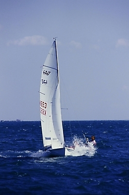 포토 JPG 주간 스포츠용품 스포츠 바다 올림픽 요트 하계올림픽 경기 여러명 야외 여름 레포츠 운송업 윈드서핑 수상스포츠 요트경기 선박 국내포토 자연요소 계절 산업 다수 수상교통 배_교통 레저 사람 오브젝트 파일형식