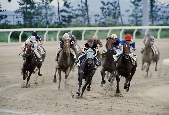 포토 JPG 주간 동물 육지동물 남자 스포츠 올림픽 포유류 하계올림픽 사람 경기 여러명 야외 레포츠 말_동물 기수 경마 경마장 남자만 국내포토 자연요소 다수 레저 파일형식